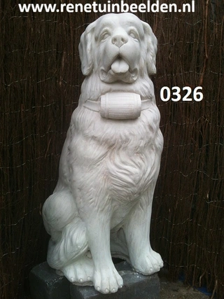 Sint Bernard Hond. Nr 0326.