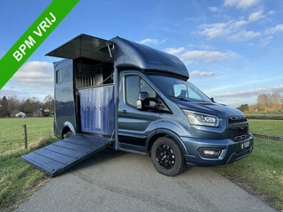 Ford Transit 2-paards paardenvrachtwagen B-rijbewijs Automaat
