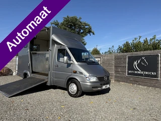 Mercedes-Benz Sprinter | HORSETRUCK | TVW 2015 | CLASSIC 3XL | 2005 |  OPBOUW 2015 | AUTOMATIC | CHE