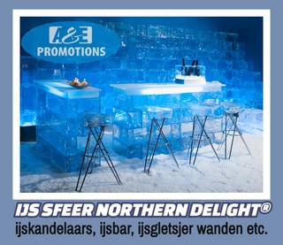 verhuur winter wonderland decoratie haarlem zandvoort info@winterdecoratieverhuur.com