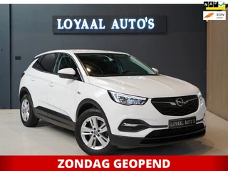 Opel Grandland X 1.2 Turbo Business Edition | AUT | CRUISE | TREKHAAK | PDC | NAVI | AIRCO | NAP | A