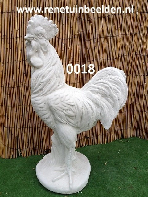 Haan, wie wil er nu niet een stille haan in de tuin. Nr 0018