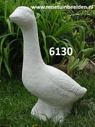 Gans. nr 6130.