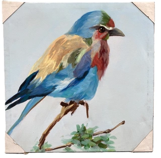 SCHILDERIJ VOGEL BONT 50x50 cm