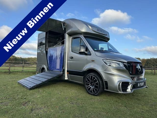 Mercedes-Benz Sprinter 317 AMG 2-paards paardenvrachtwagen B-rijbewijs