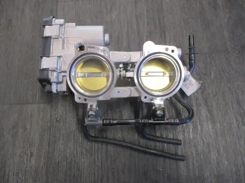 GASKLEPHUIS Aprilia Tuono 660 2021 - 2022