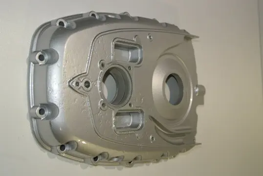 MOTORBLOKDEKSEL BMW R 1200 GS 2008 - 2009