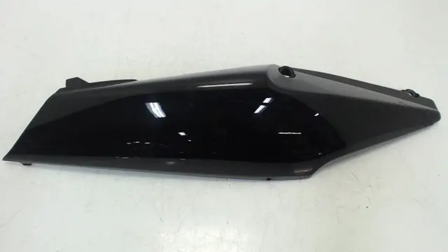 RECHTER ACHTERKANT Honda CBF 1000 2006 - 2009