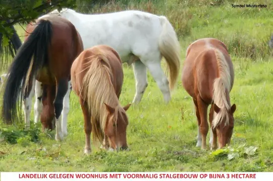 Paardenhouders, dierliefhebbers, stallen en ca. 3 ha.