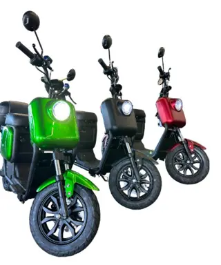 Elektrische scooter Q3