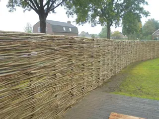 Wilgenschutting wilgentenen wilgentenenschutting