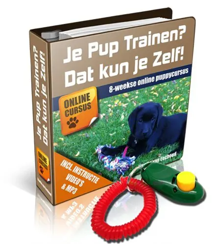 Online Puppycursus