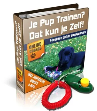 Online Puppycursus