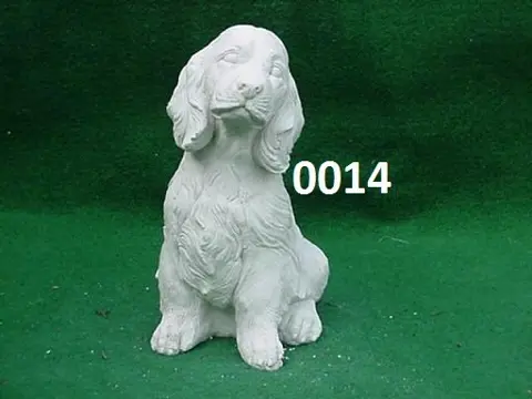 Cocker spaniel.