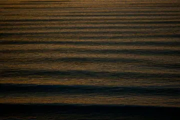 Romain Laffue - Golden Line up