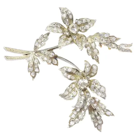 Trembling Beauty: 1850's Victorian Nature-Inspired Brooch