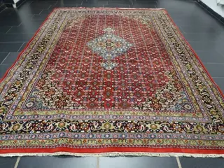 Herati Bidjar - Tapijt - 340 cm - 250 cm