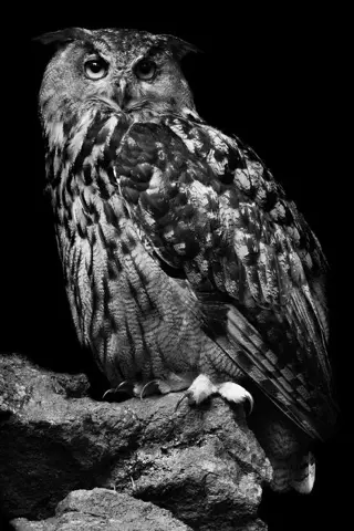 Marco Simoni - " Super Wide angle "