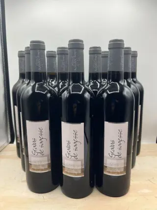 2022 Grains de Sagesse Mas des Armes - hérault - 12 Fles