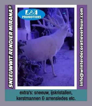 Verhuur winterbos dieren poolwolf wit hert verhuur etc.