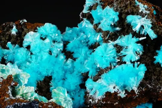 AURICHALCITE turquoise sprays - collectorexemplaar - NIEUWE