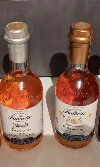 La Favorite - Briere de l’isle 2017 + Exploration N°3 -