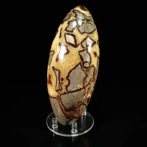 Fantastische septarie Lingam- - 26×10×10 cm - 3.635 kg
