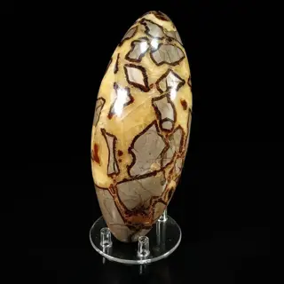 Fantastische septarie Lingam- - 26×10×10 cm - 3.635 kg