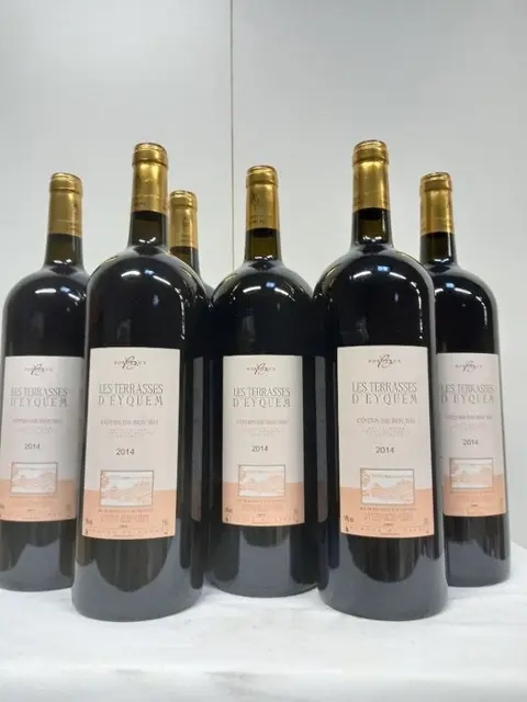2014 Cote debourg vignobles Bayle-Carreau, Les terrasses
