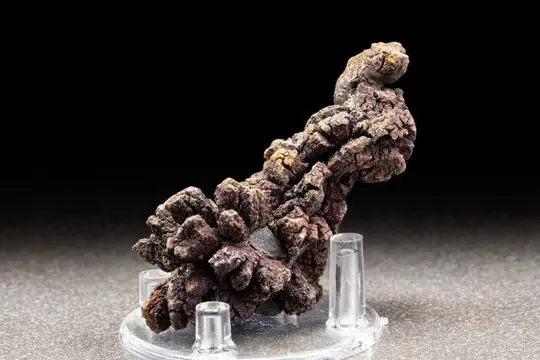 Mooie massieve natuurlijke versteende kak - compleet -