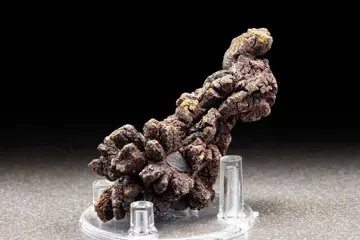 Mooie massieve natuurlijke versteende kak - compleet -