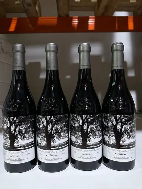 2006 Pago de los Capellanes, Parcela El Nogal - Ribera del Duero - 4 Flessen (0.75 liter)