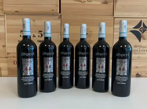 2019 Speri Valpolicella Superiore "Vigneto Sant'Urbano -