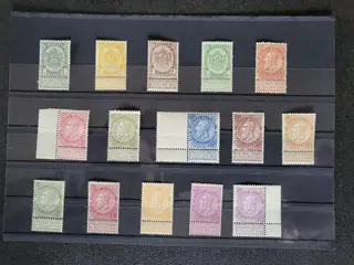 België 1893 - Série Fine barbe - COB 53/67