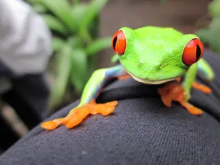 Rondreis Costa Rica: Vulkanen en strand