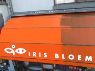 Schoonmaken Markiezen Reinigen Zonwering / Zonnescherm besp