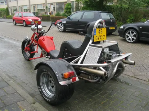 Cosmospolitan trike