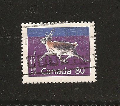 Caribou uit Canada