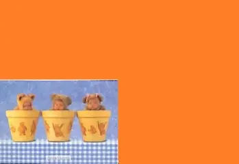 Anne Geddes baby's op nieuwe ansichtkaart x 4