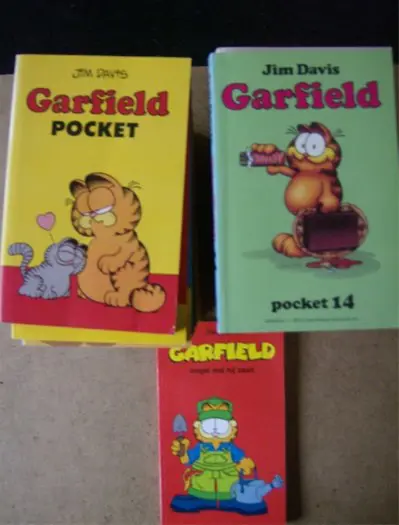 9 garfield pocket