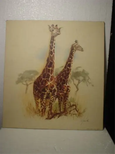 Giraffes tekening (reproduktie) 40 x 43 cm,gst
