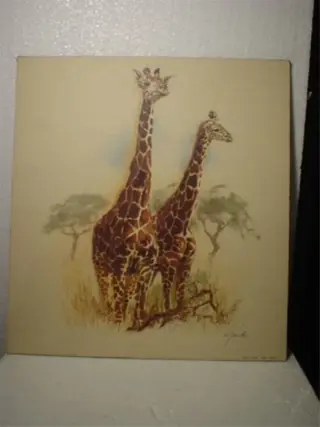 Giraffes tekening (reproduktie) 40 x 43 cm,gst