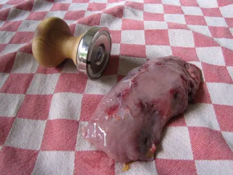 Te koop hagelmagneet