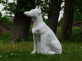 Hazewindhond , tuinbeeld , hond