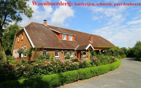 Varel (D). Woonboerderij, landerijen, schuren, paardenboxen