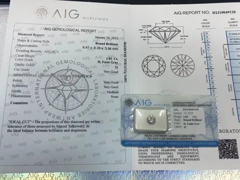 1 pcs Diamant - 1.02 ct - Rond - No reserve price, H faint
