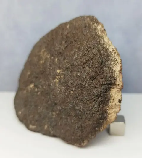 UREILITE -Primitive Achondrite- (Met nano diamanten!)