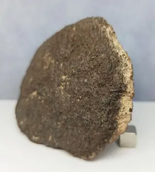 UREILITE -Primitive Achondrite- (Met nano diamanten!)
