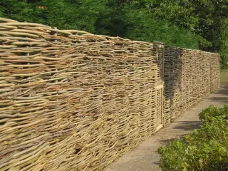 Wilgentakken wilgentenen wilgenschutting knotwilgen