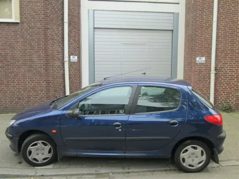 Peugeot 206 1.6 5-deurs Hatchback Kleurcode Ege Plaatwerk